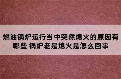 燃油锅炉运行当中突然熄火的原因有哪些 锅炉老是熄火是怎么回事